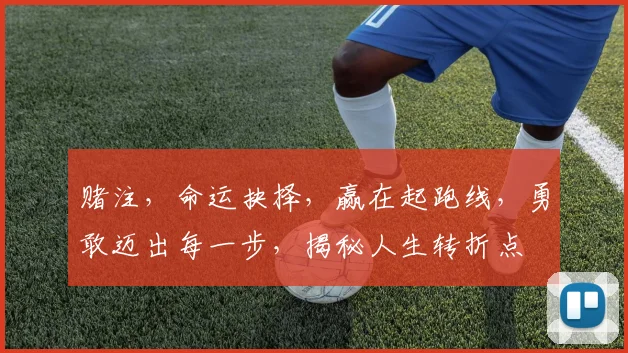 赌注，命运抉择，赢在起跑线，勇敢迈出每一步，揭秘人生转折点