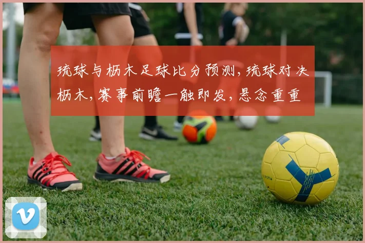 琉球与枥木足球比分预测,琉球对决枥木,赛事前瞻一触即发,悬念重重