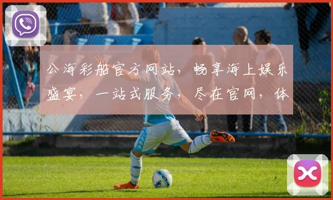 公海彩船官方网站，畅享海上娱乐盛宴，一站式服务，尽在官网，体验非凡